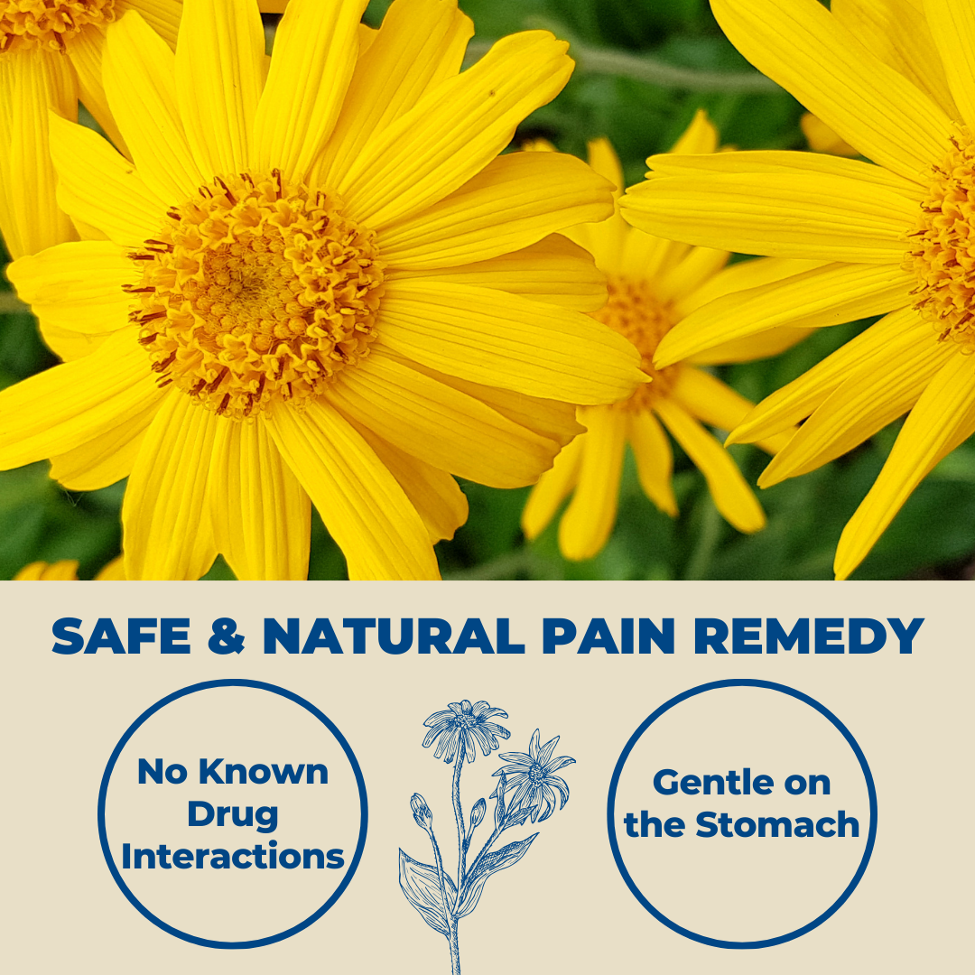 VitaMedica Recovery Support Program + Arnica Montana 30X HPUS